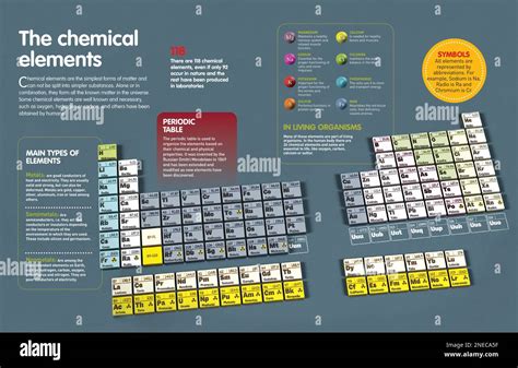 Infographic About The Chemical Elements Their Classification And