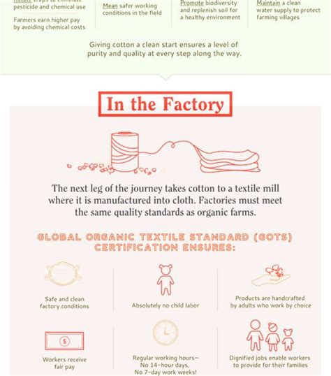 Infographic Why Organic Cotton Is The Most Ethical Choice Inhabitat