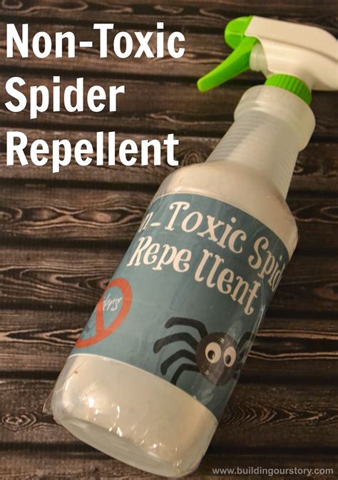 Homemade Non Toxic Spider Repellent Diy Building Our Story