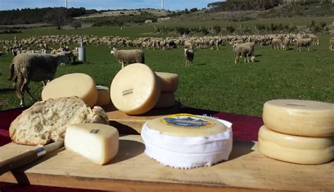 Queijo Serra da Estrela DOP candidato a Património Imaterial Mundial da