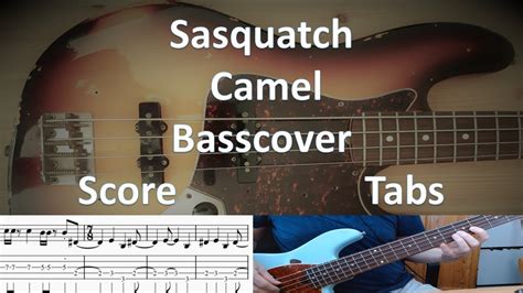 Camel Sasquatch Bass Cover Score Tabs Chords Transcription Youtube