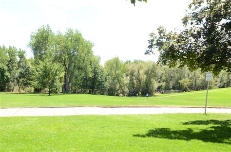 Boulder Shows Signs Of Emerald Ash Borer Impact BeASmartAsh