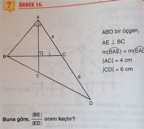 9 SINIF ÜÇGENLER NOLUR ANLATIR MISINIZZ Eodev