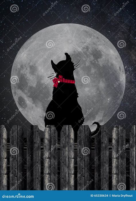 Cat Silhouette On Fence With Full Moon Stock Illustration Illustration Of Dark Light 65330634