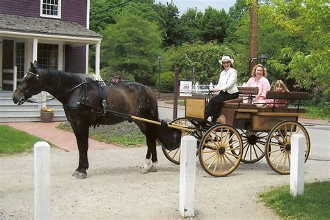 Bird In Hand Carriages Lightweight Wagonette Unladen Is About 650 Lbs