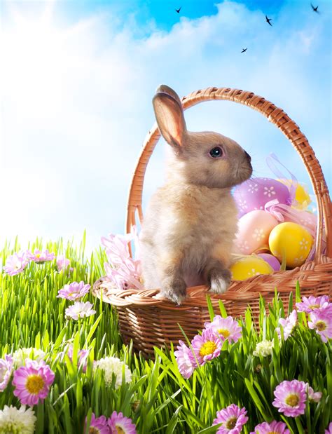 Why Is Easter Represented By A Rabbit