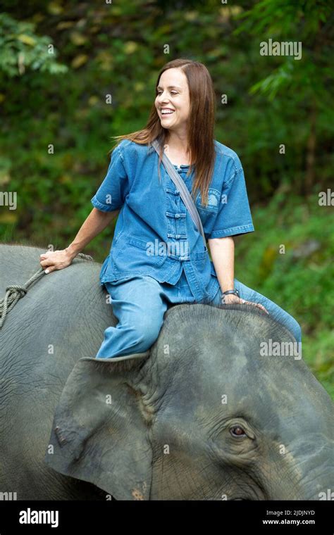 Woman Riding An Elephant Hi Res Stock Photography And Images Alamy