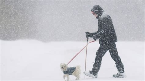 What spring, Canada? Winter weather could wreak havoc for some | CTV News