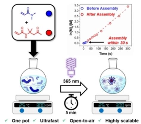 Ultrafast XanthateMediated Photoiniferter PolymerizationInduced Self