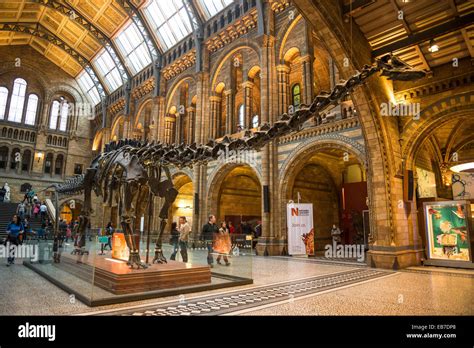 Natural History Museum main hall with Diplodocus skeleton, South ...