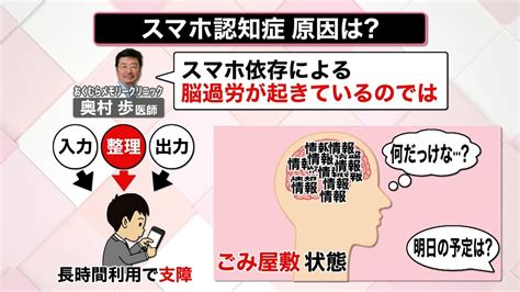 【解説】「スマホ認知症」増加？ 絶えず膨大な情報「脳過労」に 5分でも“ぼんやり”時間を（2023年1月16日掲載）｜日テレnews Nnn