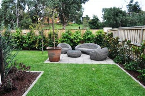 5 of the best hedges for creating privacy