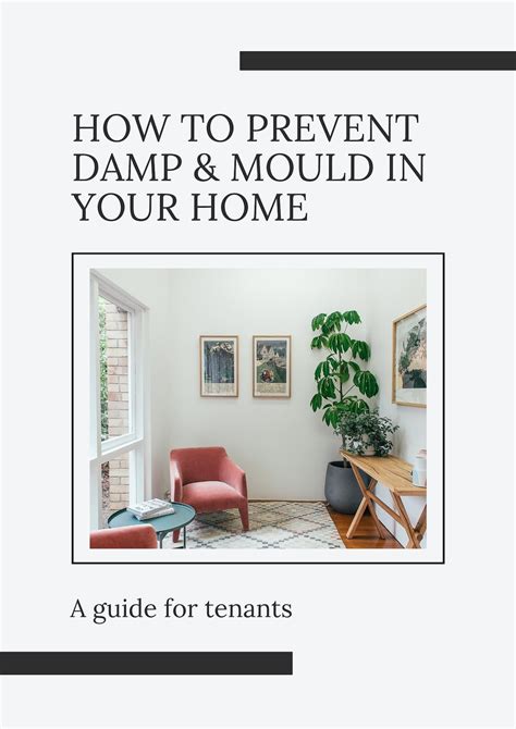 A Guide For Tenants On How To Prevent Damp And Mould In Their Etsy