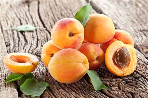 How To Grow And Care For Apricot Trees Gardeners Path