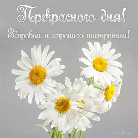 16 классных открыток и ярких картинок с пожеланием ПРЕКРАСНОГО ДНЯ