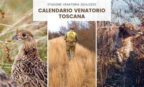 Calendario Venatorio Toscana 2024 2025 IoCaccio It