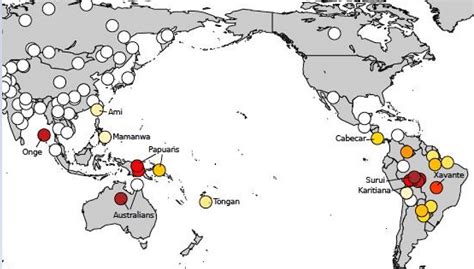 Indigenous Australians Are Closely Related To Some Amazon Tribes Study
