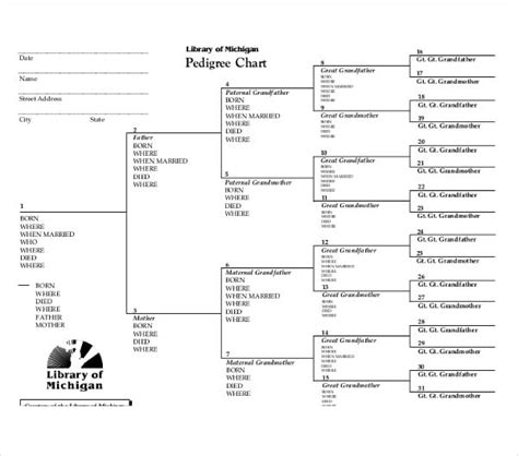 10+ Pedigree Chart Templates - PDF, DOC, Excel | Free & Premium Templates