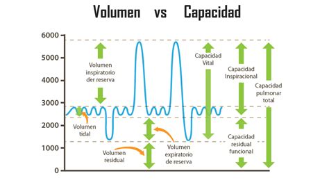 Funci N Pulmonar Vol Menes Y Capacidades Pulmonares Ppt