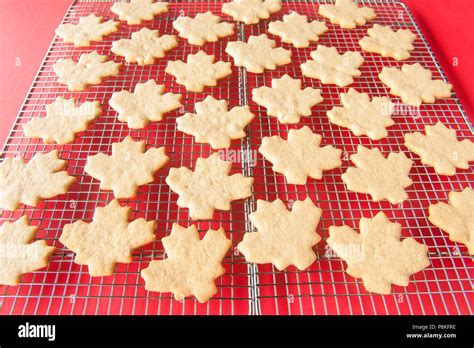 Cooling Rack Filled With Maple Leaf Shaped Sugar Cookies On A Red