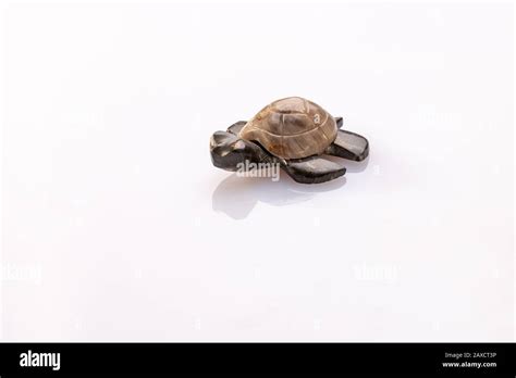 a small turtle made of two types of stone on a white background with reflection Stock Photo - Alamy