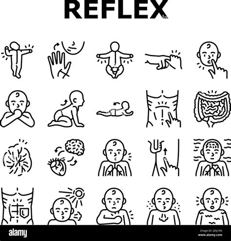 Reflex Of Human Neurology System Icons Set Vector Stock Vector Image