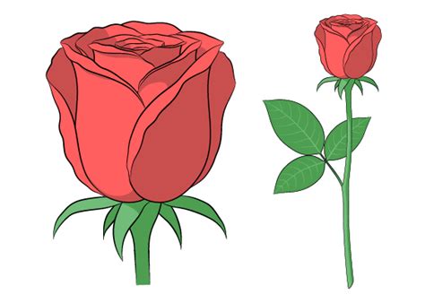 How to Draw a Rose Step by Step - AnimeOutline