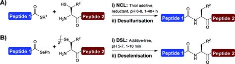 A Native Chemical Ligation Ncl And Desulfurisation Chemistry B Download Scientific