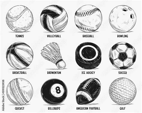 Vecteur Stock Hand Drawn Most Popular Sports Balls Sketch Set Isolated