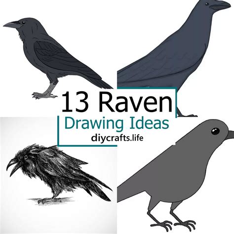 Raven Bird Head Drawing