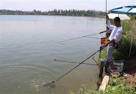 正確的釣魚姿勢，別在最後關頭留下遺憾 每日頭條