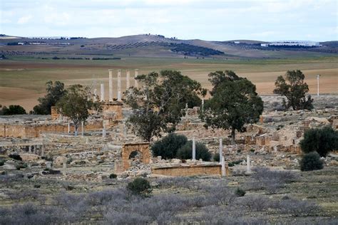 Thuburbo Majus - Places to Visit in Tunisia with Mosaic North Africa