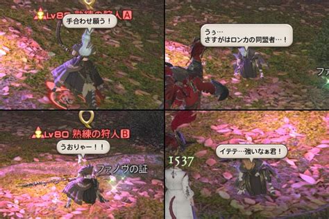 クエスト中に出るnpcのセリフ20 米俵･改 ―ff14とff11な日々―