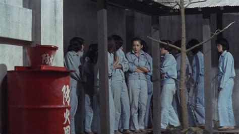 True Story Of A Woman In Jail Sex Hell AZ Movies