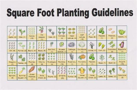 Square Foot Planting Guide Garden Layout Vegetable