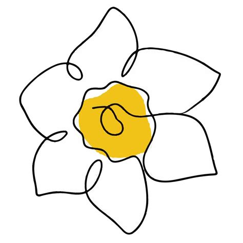 Daffodil