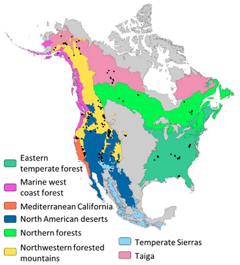 Remote Sensing | Free Full-Text | Giving Ecological Meaning to ...