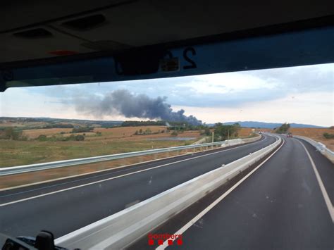 Mueren Cerdos En El Incendio De Una Granja En Cornell Del Terri