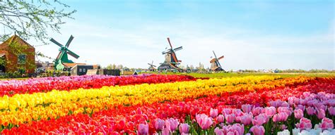 Parque Keukenhof Lisse Países Bajos RUTAS TURISTICAS