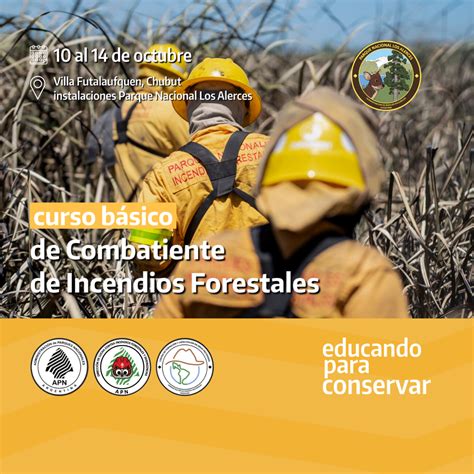 Curso Básico De Combatiente De Incendios Forestales En El Parque Nacional Los Alerces Centro