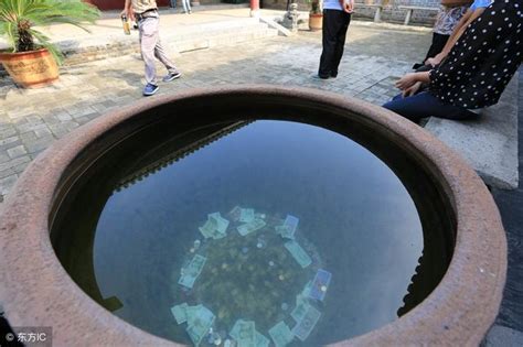 古法養魚如何養水、養苔，教你幾招，十天不換水都行 每日頭條