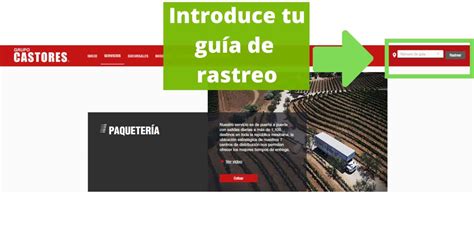 Rastrea Tu Env O En Castores Localiza Tu Paquete Al Momento