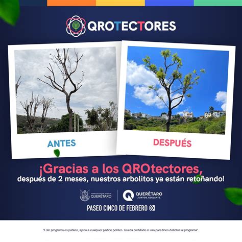 Gobierno Querétaro On Twitter ¡nuestros Arbolitos En El Tlacuache Ya Están Retoñando 🌍🌳🙌