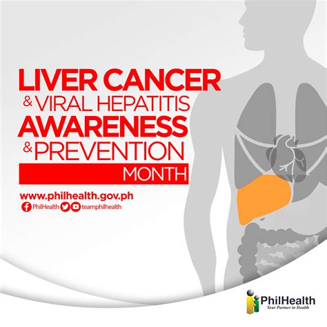 Liver Cancer Prevention