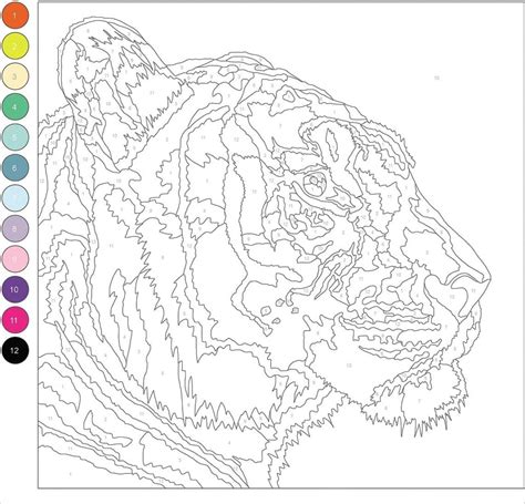 Disegni Da Colorare Con I Numeri