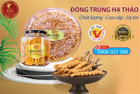 Đông trùng hạ thảo nguyên con giá tốt chỉ có tại Zii Yến