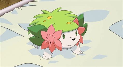 Shaymin Pokémon: How to Catch, Moves, Pokedex & More