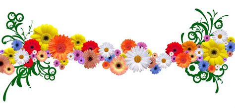 Flower Line Stock Illustration Image Of Line Greeting 4886603