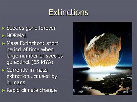 PPT Chapter 5 Evolution And Community Ecology PowerPoint