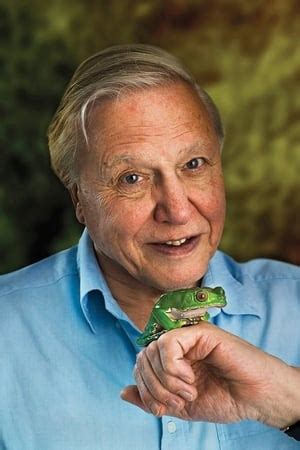 David Attenborough — The Movie Database (TMDB)